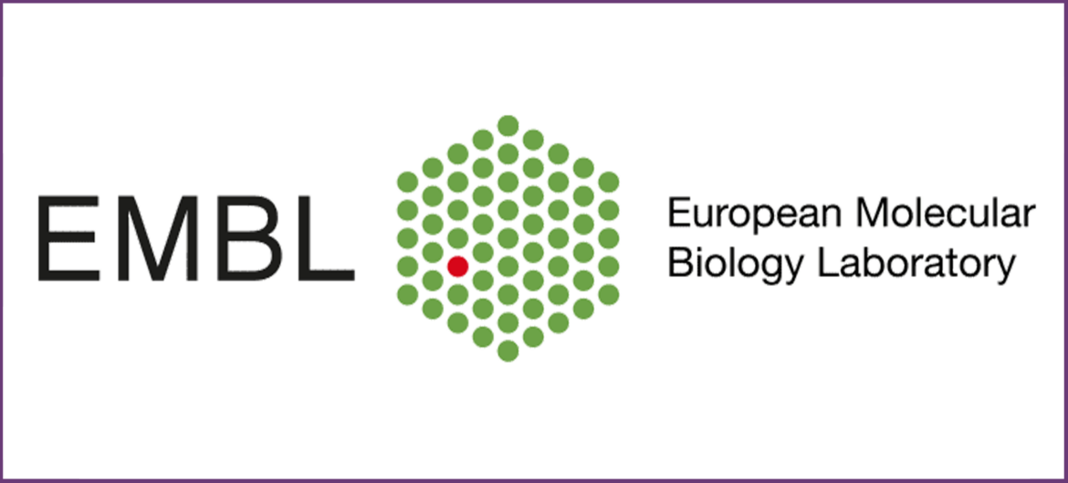 EMBL Fellowship